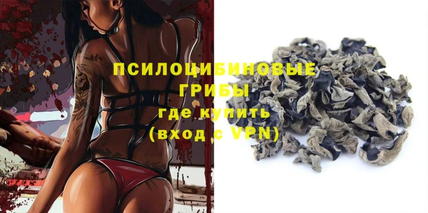 стаф Михайлов