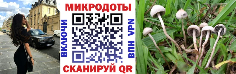 Купить закладки  Заводоуковск  Галлюциногенные грибы Psilocybine cubensis 